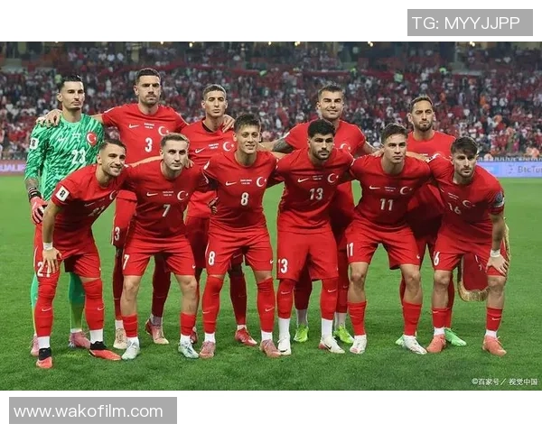 葡萄牙U19对决冰岛U19青少年足球赛精彩回顾与分析